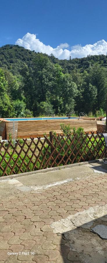 La Caravane Le Nid Douillet Ponte-Leccia Eksteriør bilde